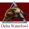 Delta Waterfowl